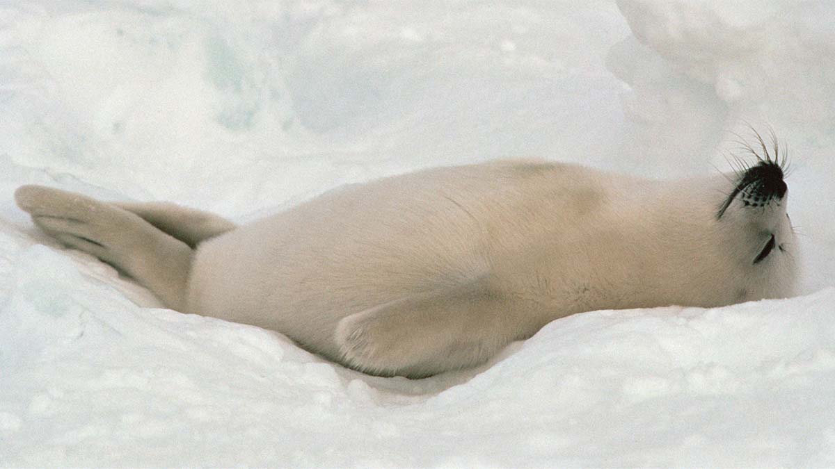 睡飽睡滿，助你成為高層