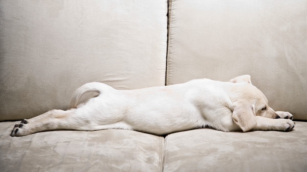 我第N次面試失敗……找工作找到想放棄，怎麼辦？