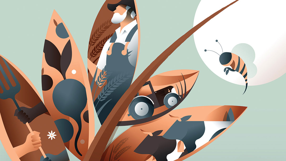 全球糧食系統出了什麼問題？