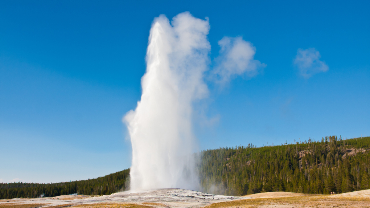 網飛與星巴克的現金流祕訣