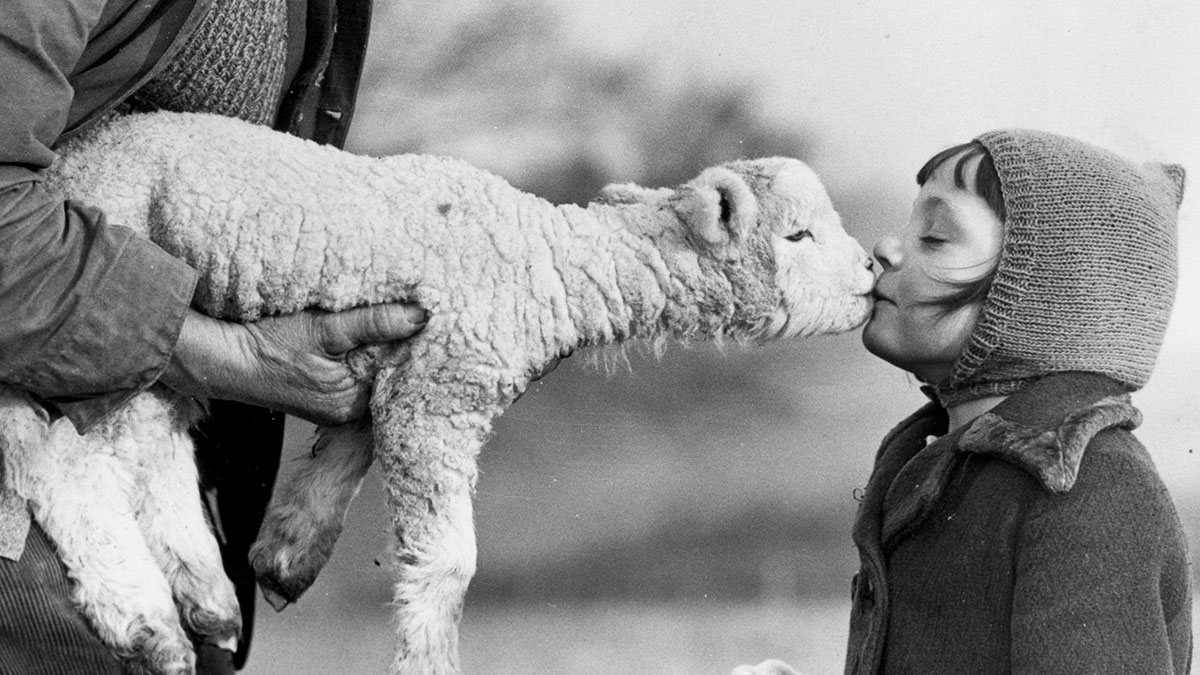 以照片打造團隊連結