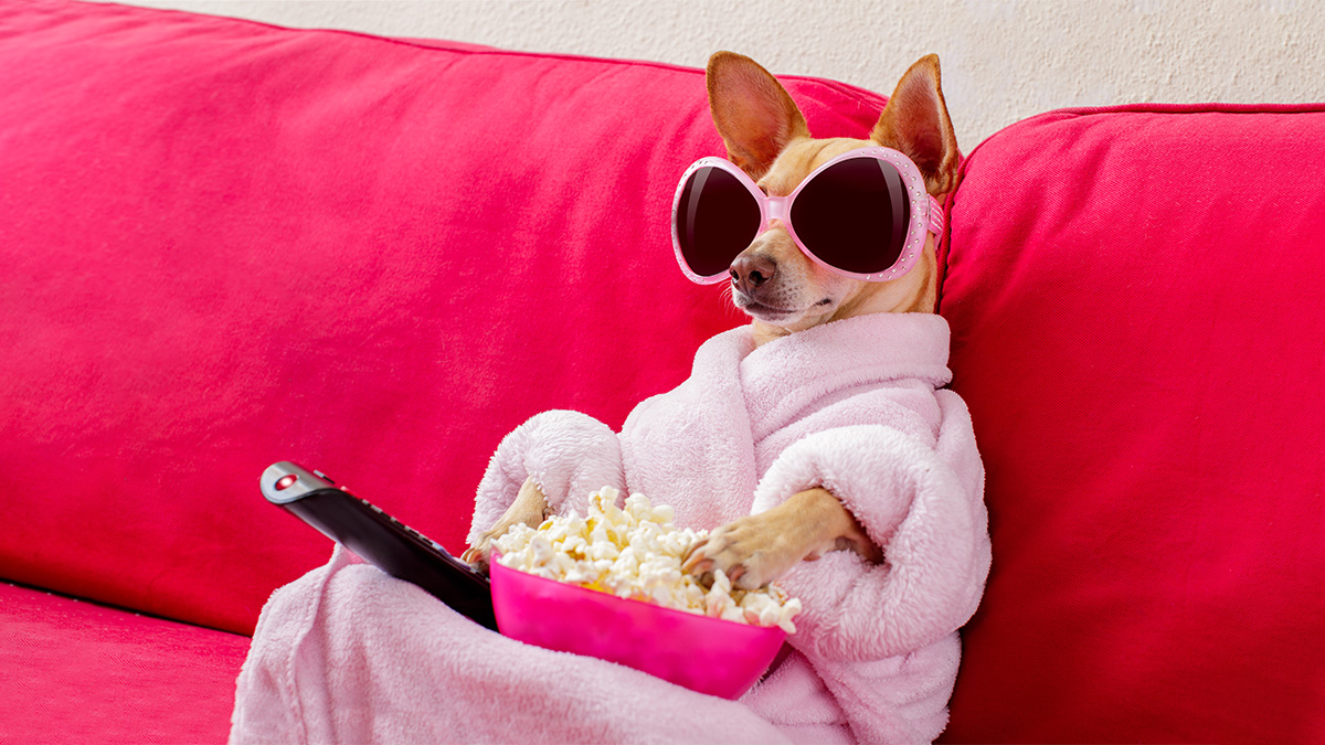 訂戶一口氣追完劇就跑掉，該怎麼辦？