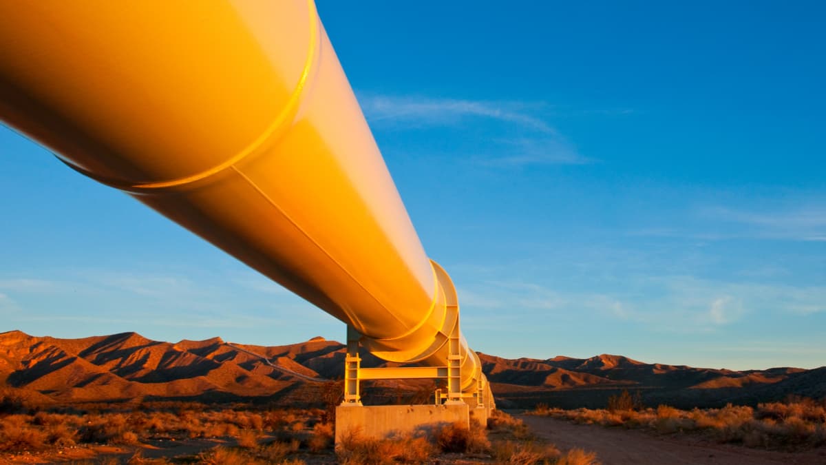 通才比專才更容易找到好工作