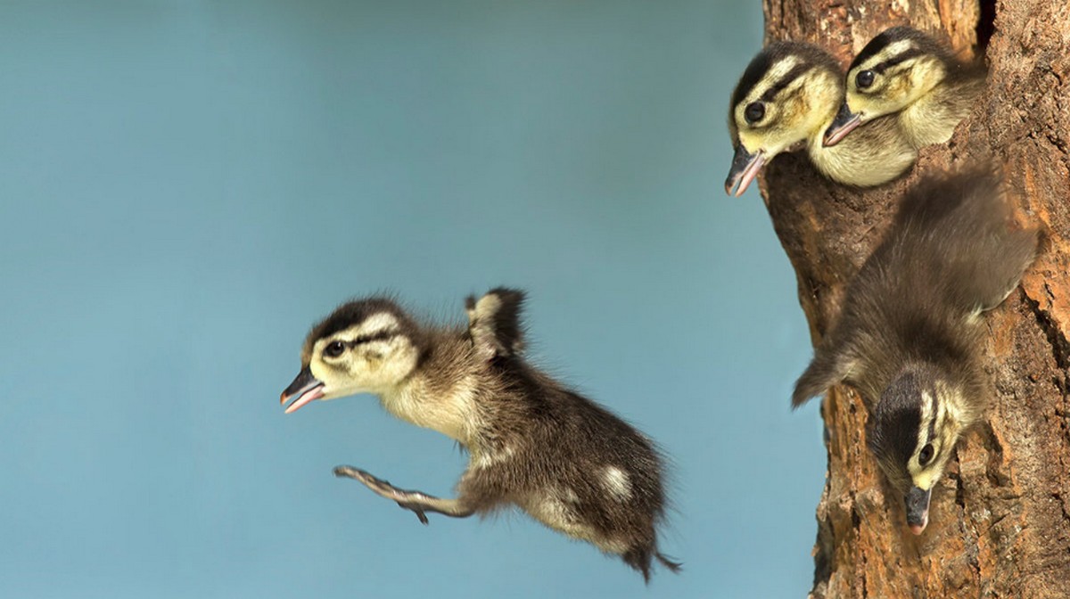 鼓勵頂尖員工考慮公司外工作機會