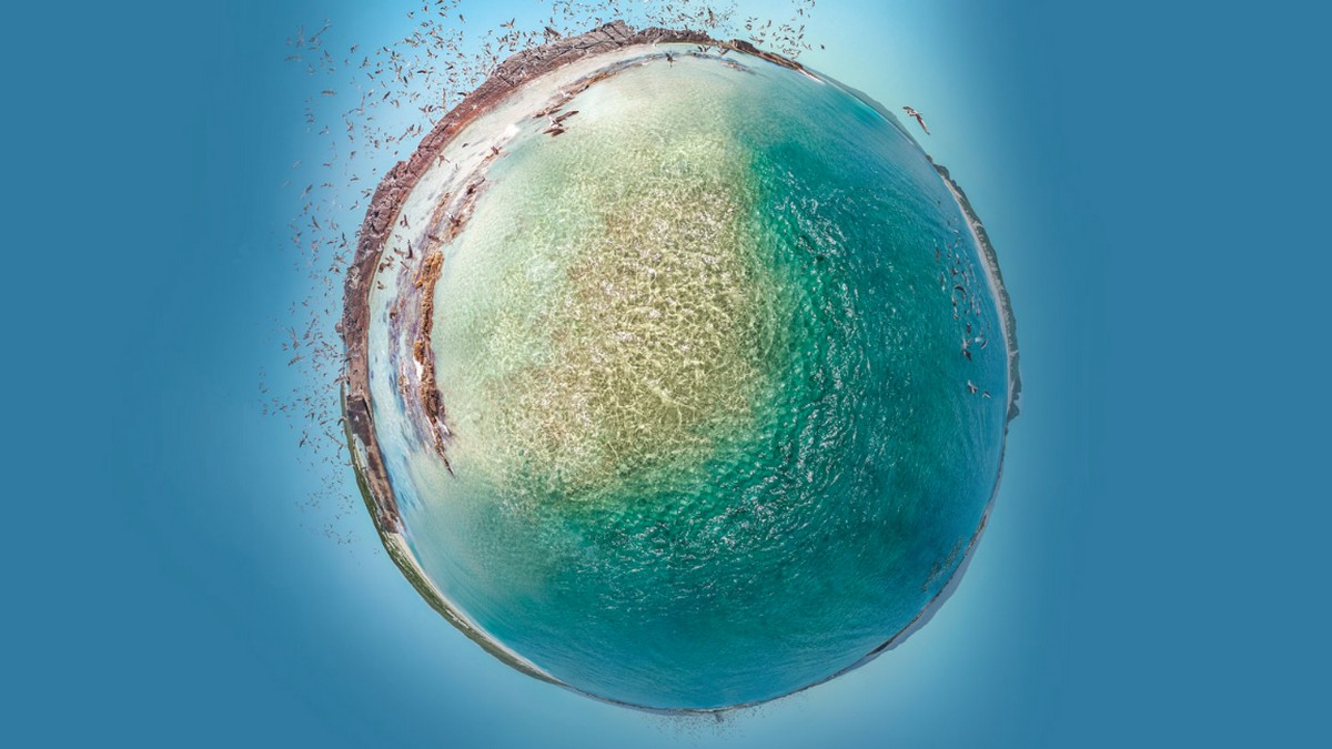 迎接生態系統經濟，企業有何策略？