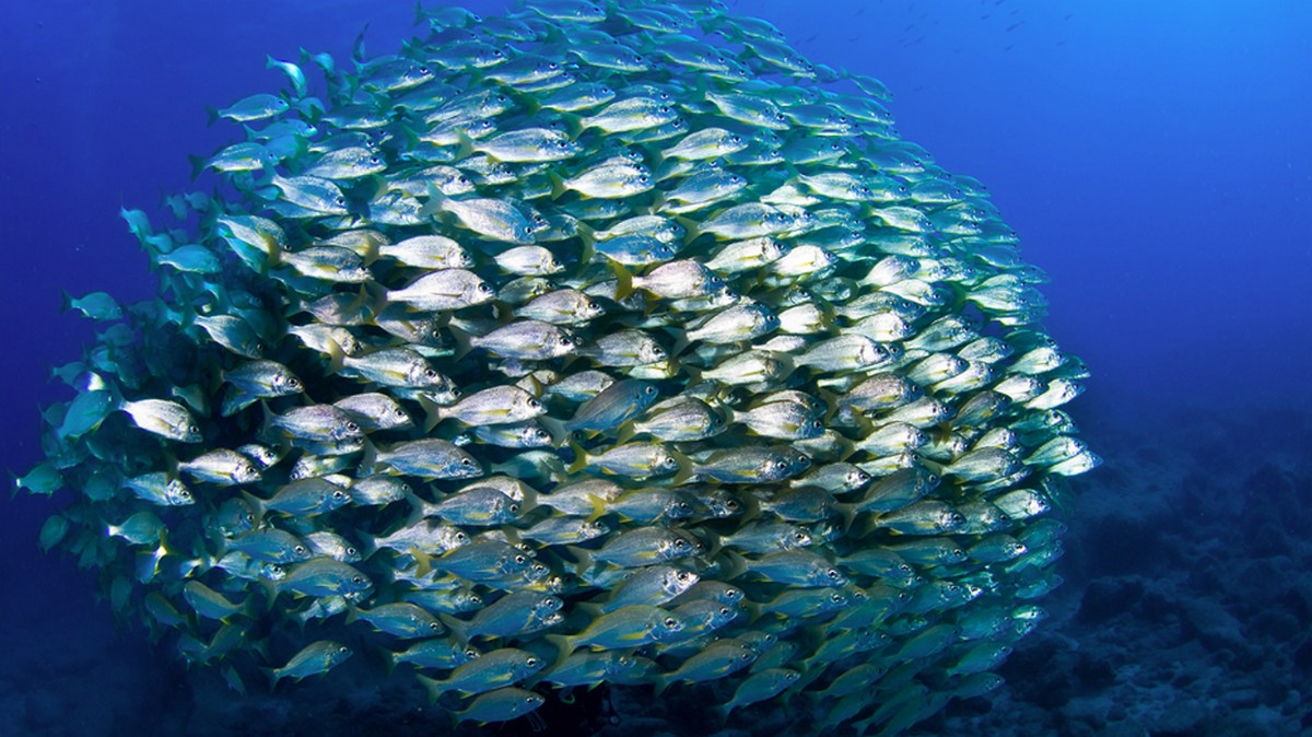 美國山際醫療的執行力革命！開會15分鐘，23家醫院就同步？