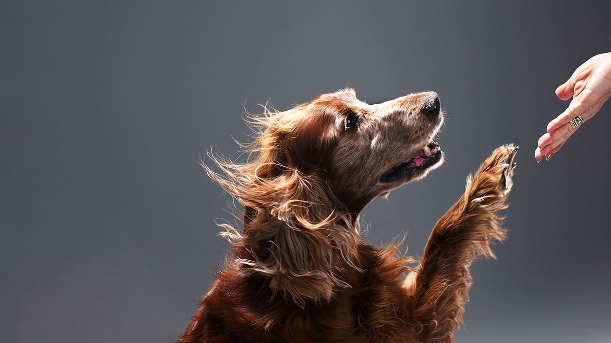 卓越領導人為何重視小動作