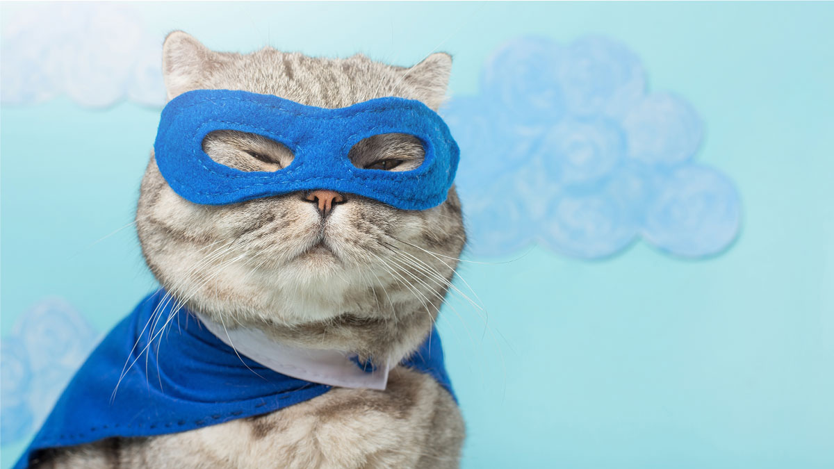 「沒肩膀」的領導人