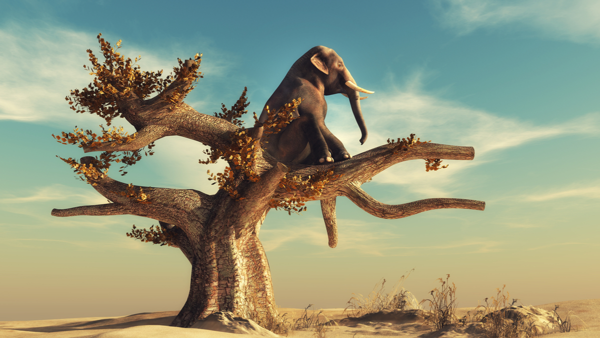 數位行銷長的三個優先要務