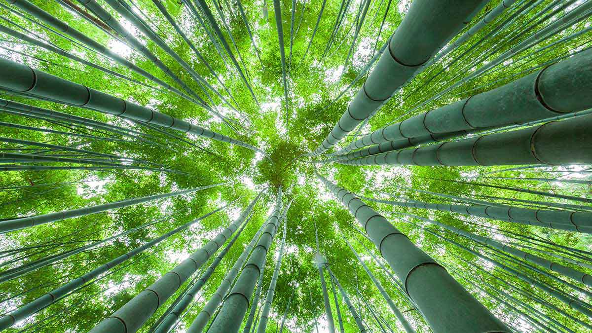 公司追求成長必備三種改變