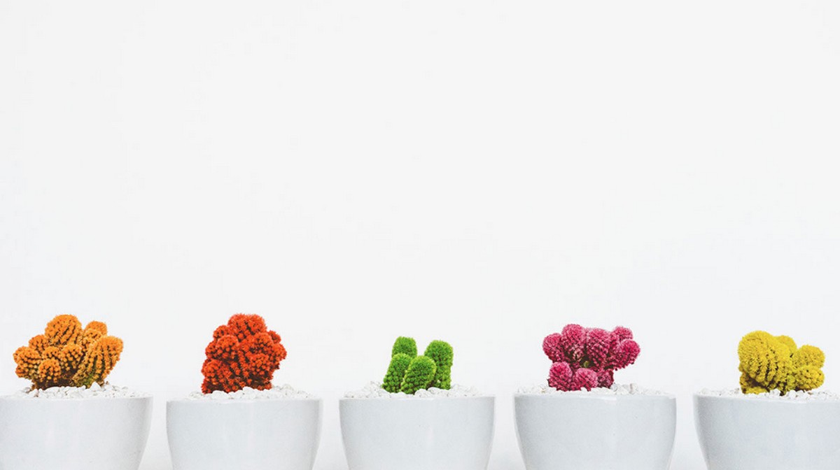 三個步驟力挽過度授權