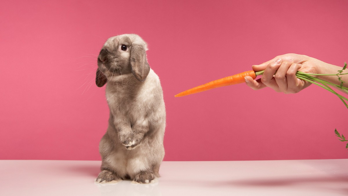 你的領導風格讓員工害怕嗎？