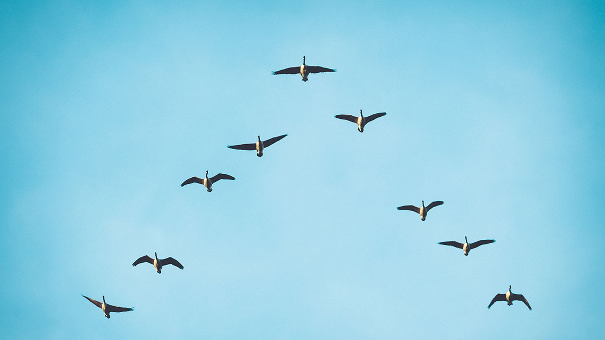 確保組織永續，是現代領導人首要任務
