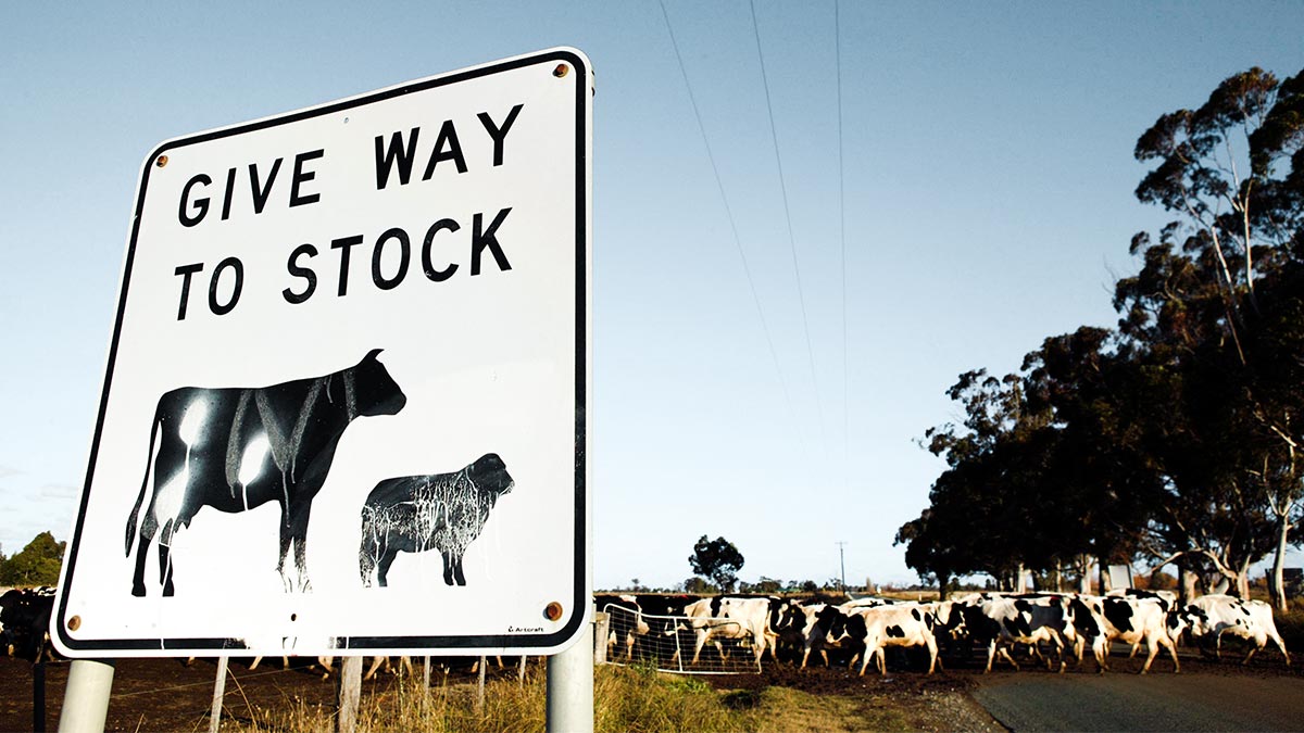 監管人員的寬容時刻