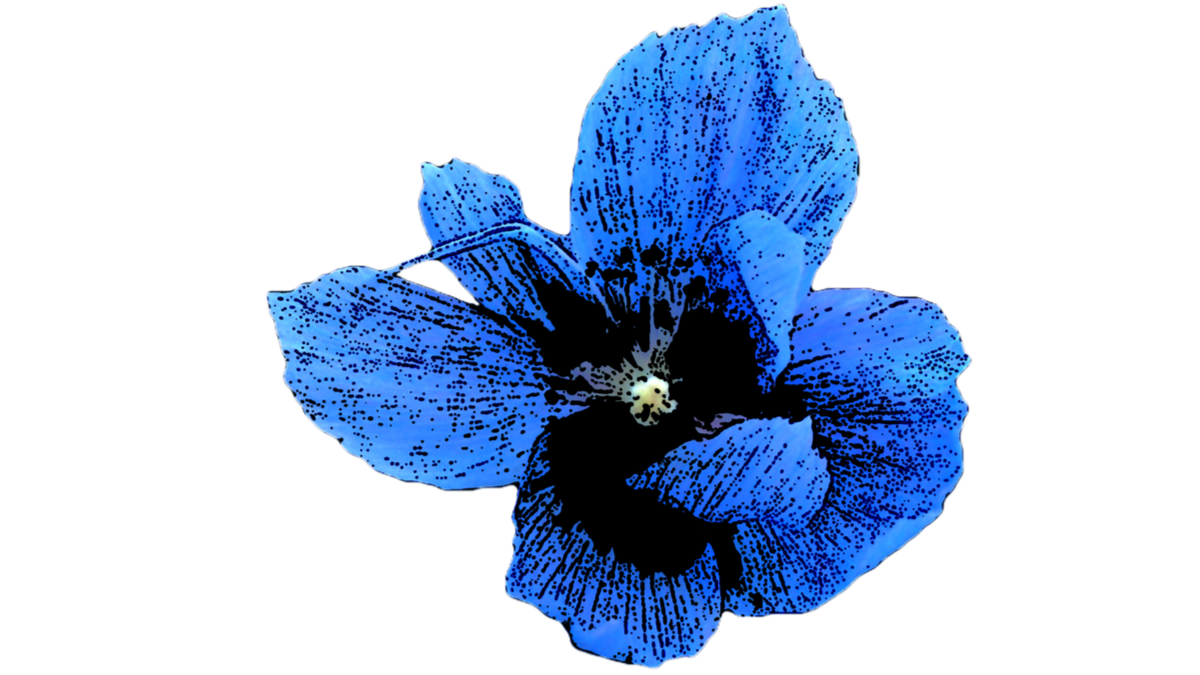 優秀領導人曉得何時該寬恕別人