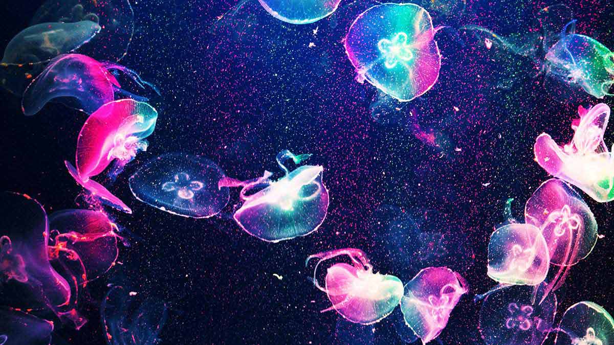 把上班的心找回來