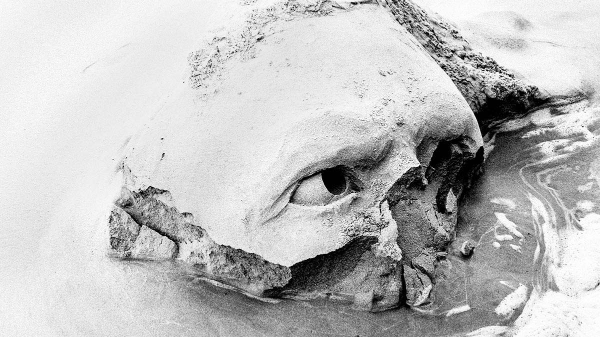 關於人力資源大數據：此時此地