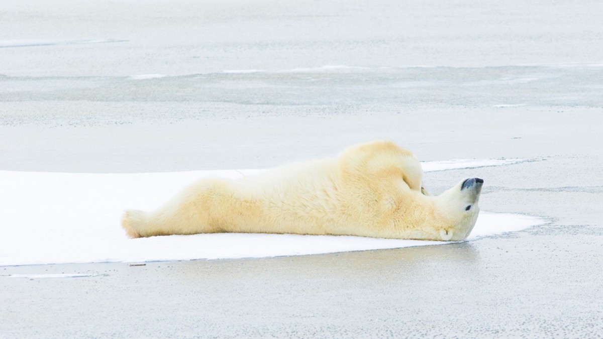 社會企業家為什麼這麼累