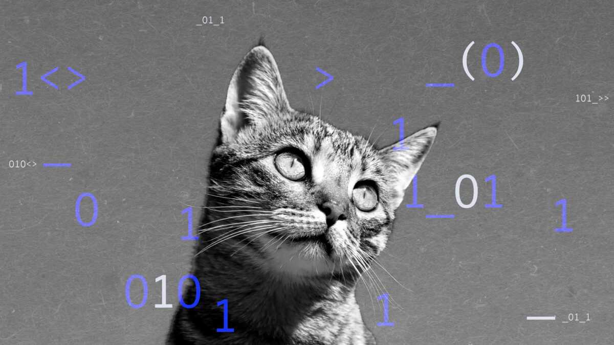 Spotify和TikTok如何擊退「模仿貓」