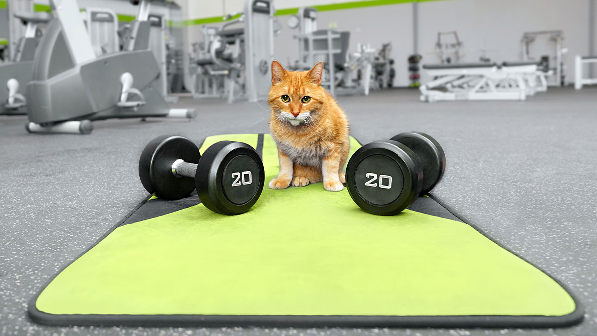 想培養優良的習慣，先勇於失敗