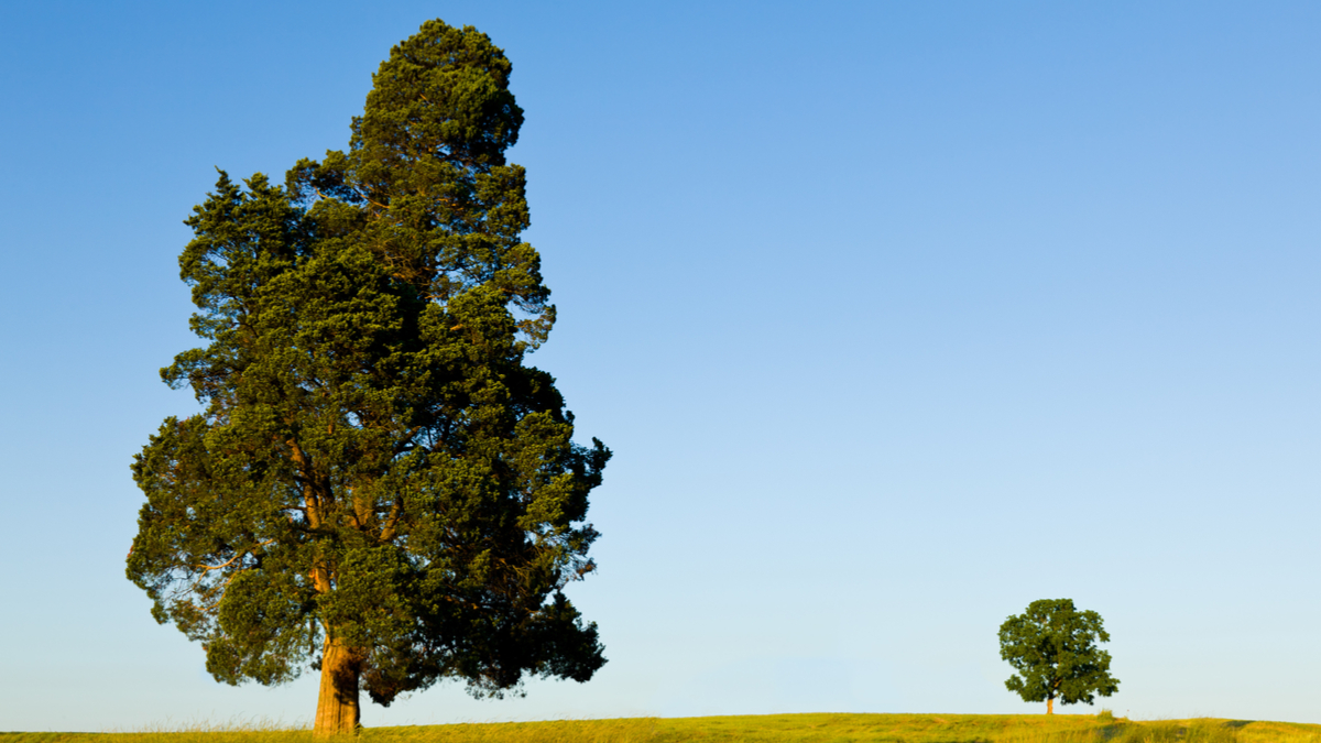 奇異如何應用精實創業做法
