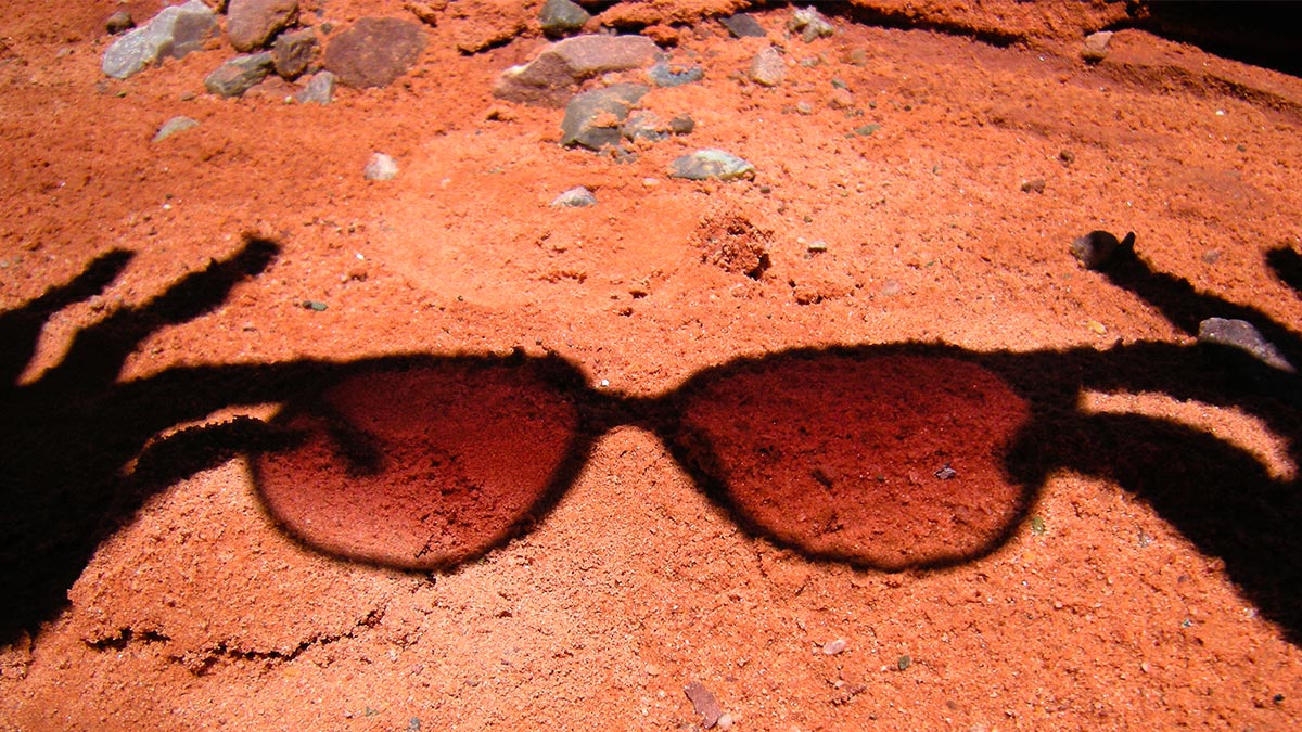 IBM、維益食品、財捷，如何更以顧客為中心