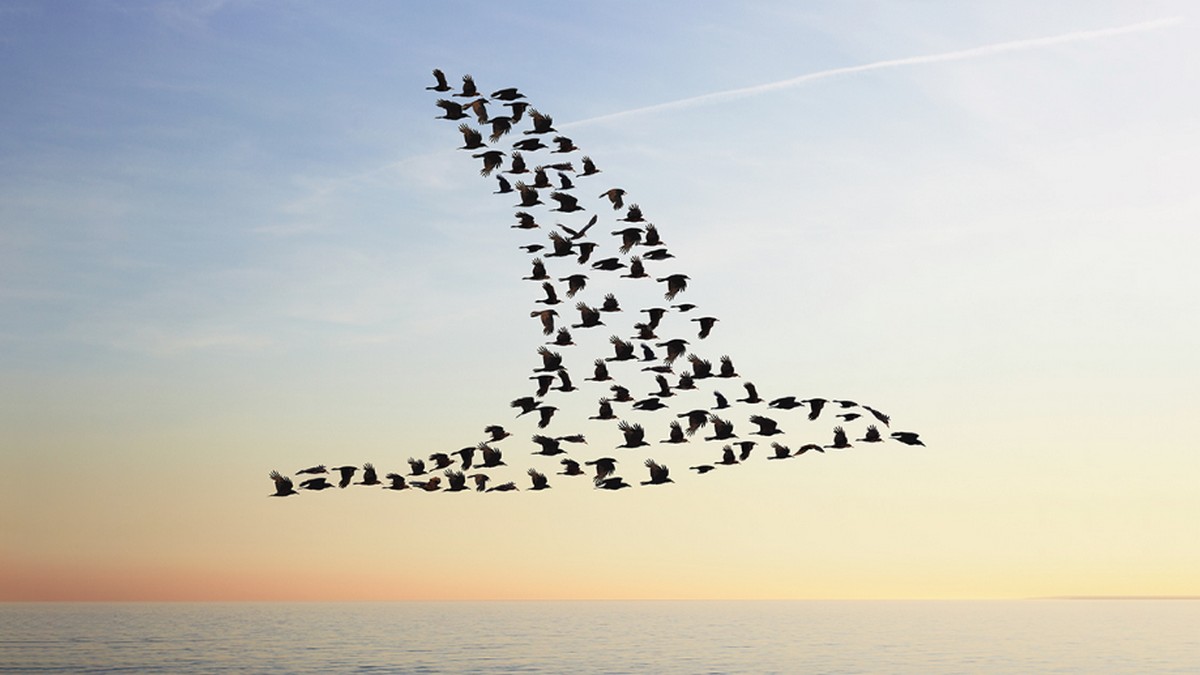 快速成長企業擴展文化四個訣竅