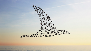 快速成長企業擴展文化四個訣竅