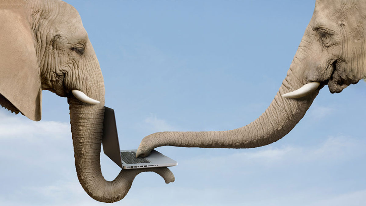 銷售團隊如何在數位世界取勝