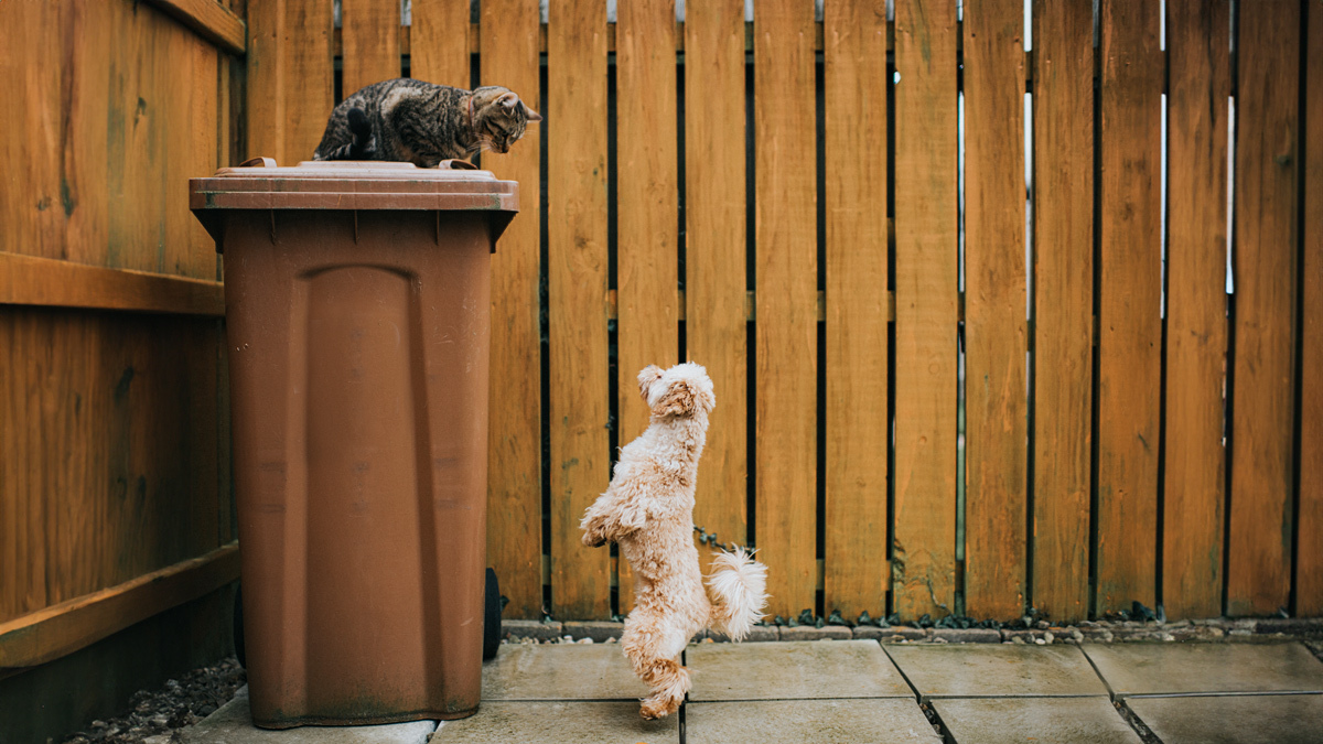 想要固守地盤，不如展開合作