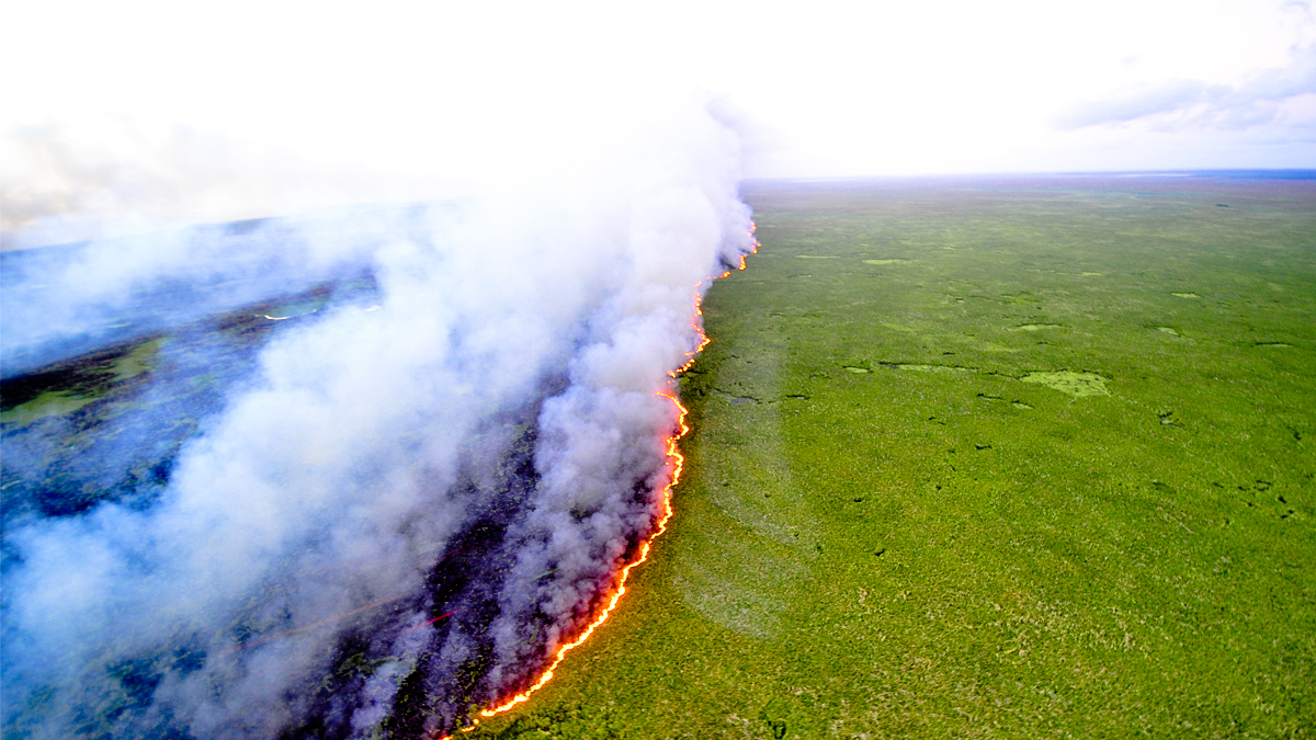 對於網路的破壞性力量，我們所知為何？