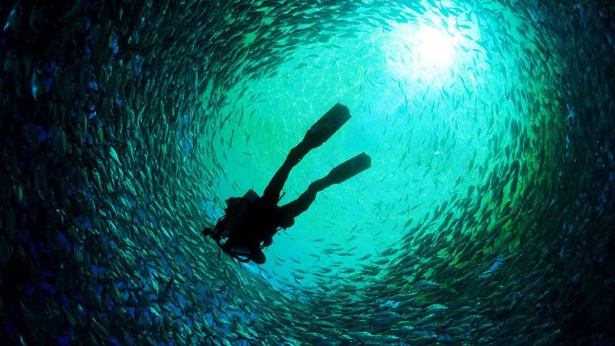 領導人如何專注大局