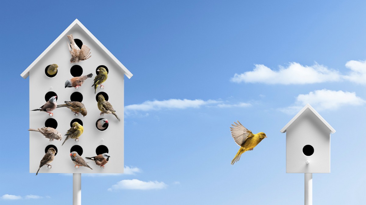 八招讓團隊管理跨越社交距離