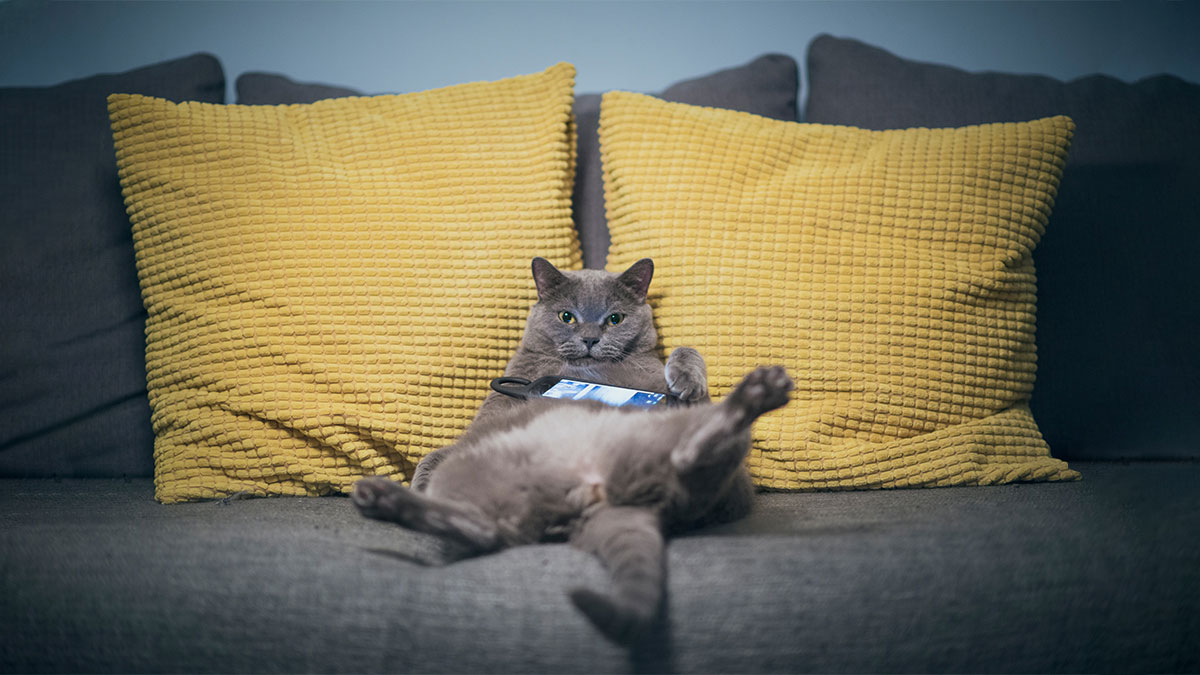 為休假做好計畫，你會更快樂