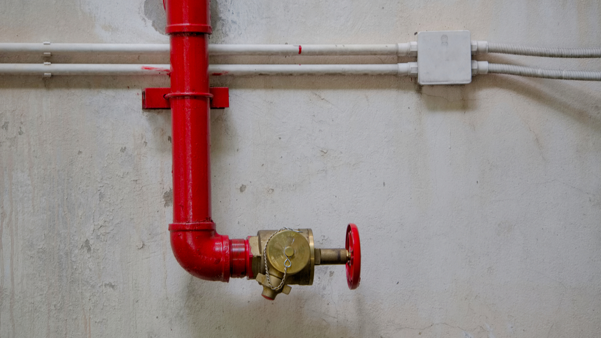 更明智運用精力的五步驟