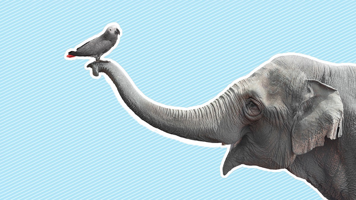 你的職場朋友是否都與你相似？