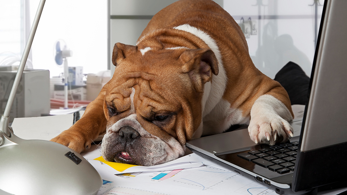 想提升員工的投入度，你需要注意三項新KPI