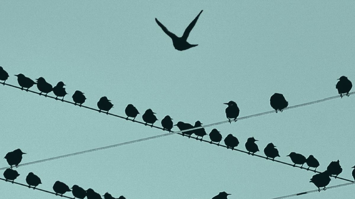 別讓裁員毀了公司