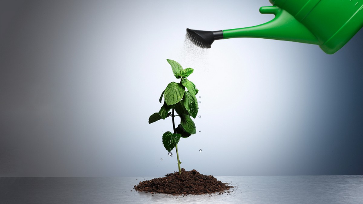 最佳主管的七大識才和育才策略