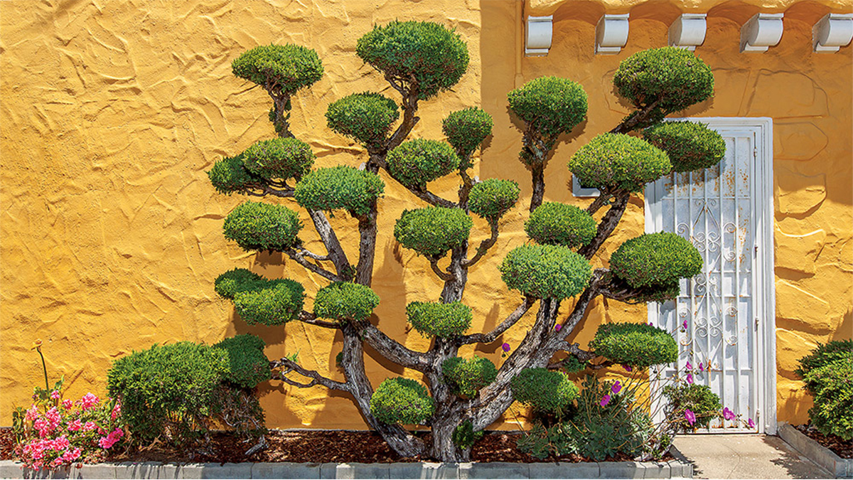 公司化身變革高手！改善應變能力，組織應該這麼做