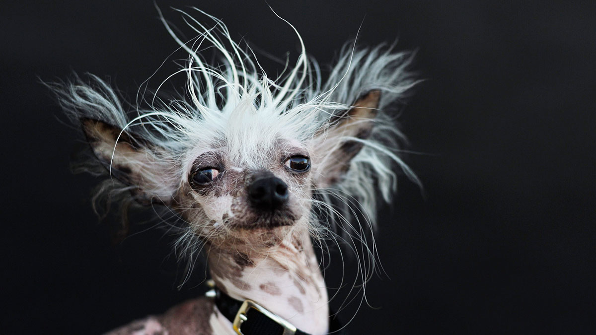 別讓你的心累垮了