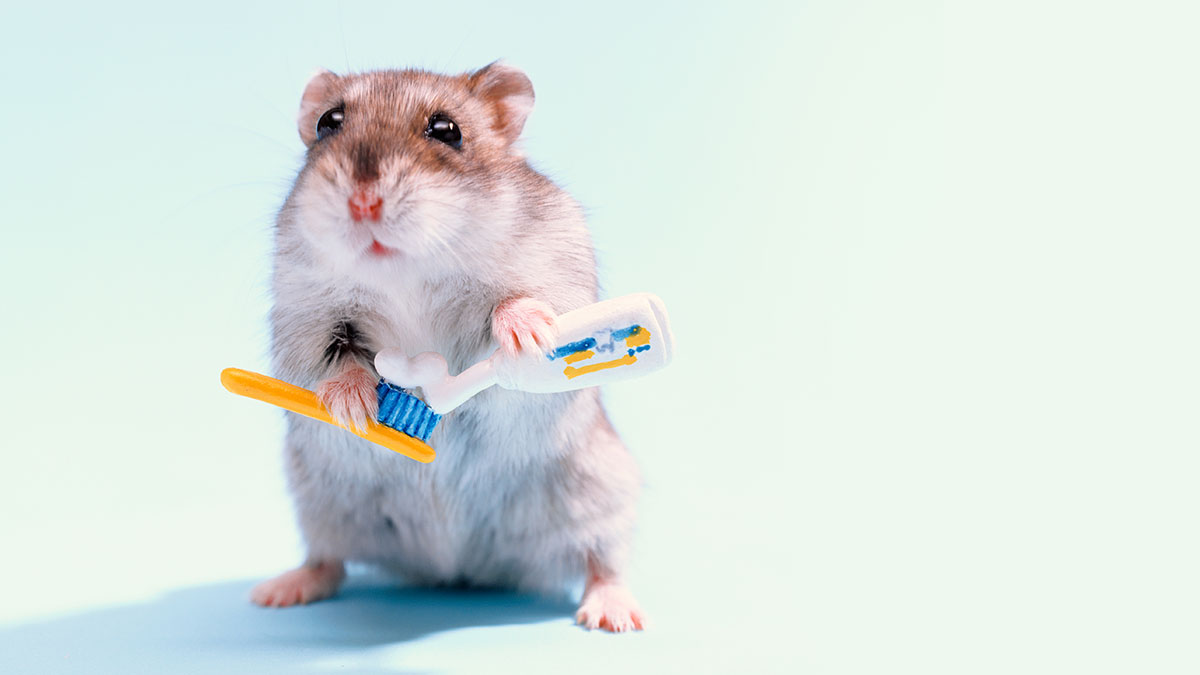 小包裝消費商品的新世界