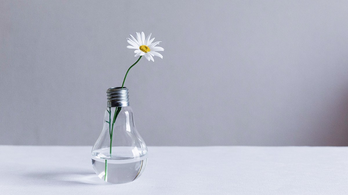 我們需要更多不把成長擺第一的新創公司