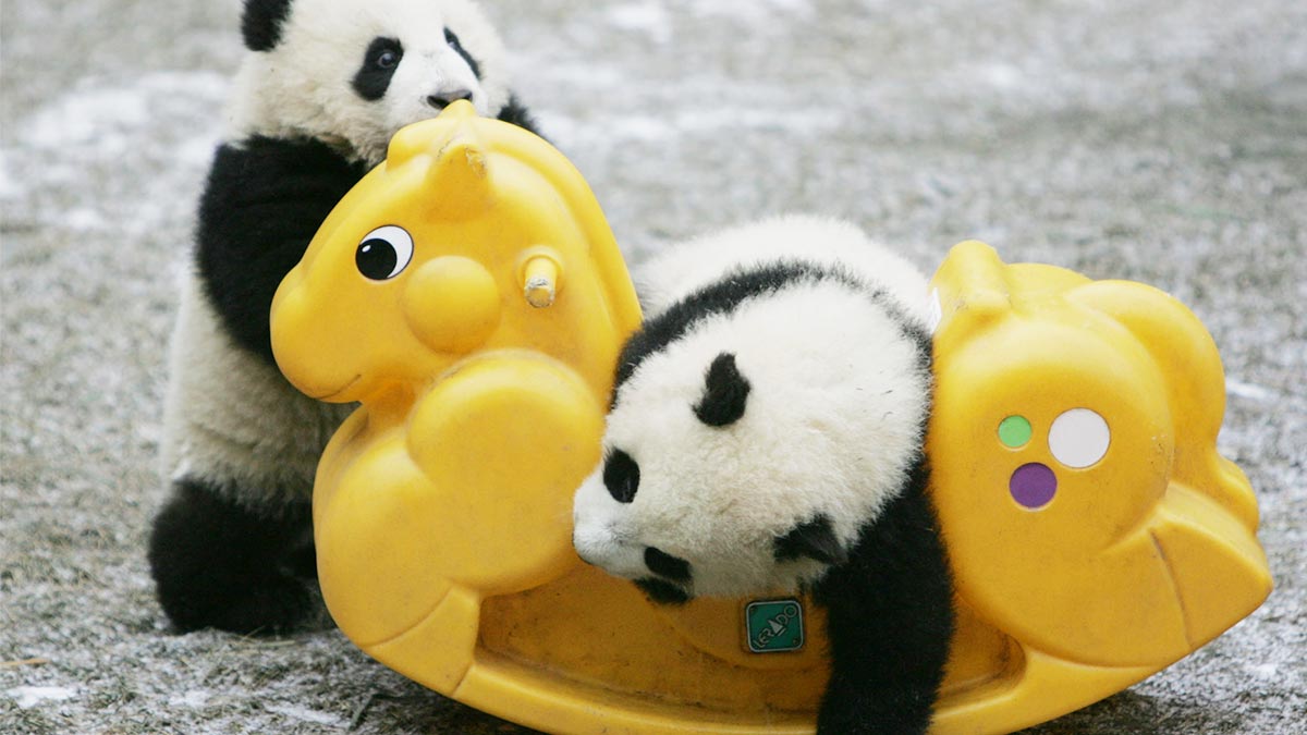 協助員工發現能激勵他們的工作