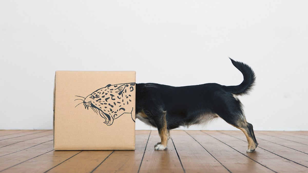 你愈有自信，別人看你愈有能力