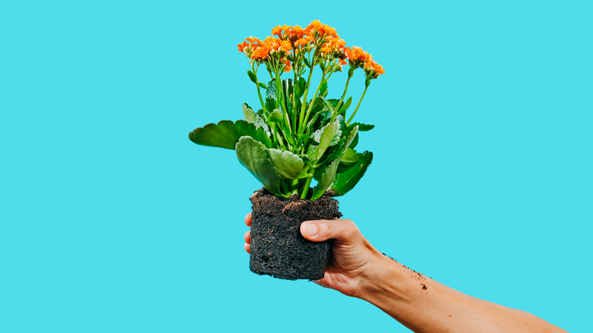 什麼才是成熟的CSR團隊？