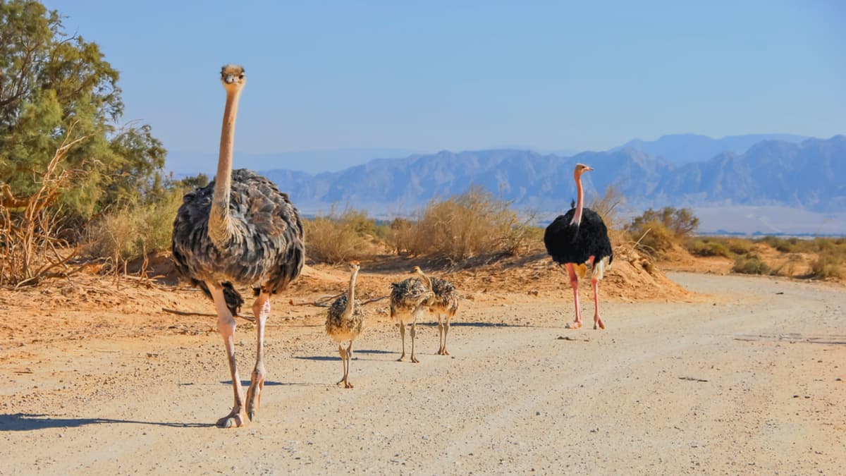 打破富不過三代的魔咒