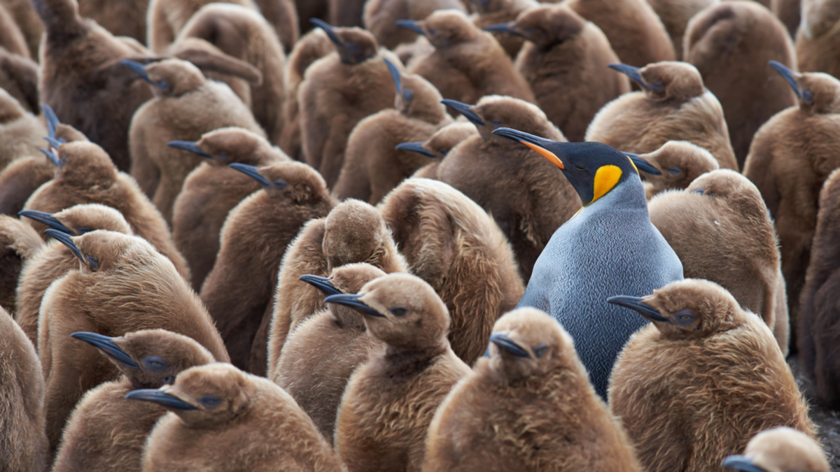 讓你面試更出色的教戰守則