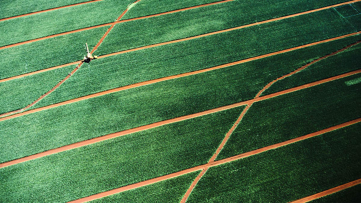 將市場分析的威力以量化呈現