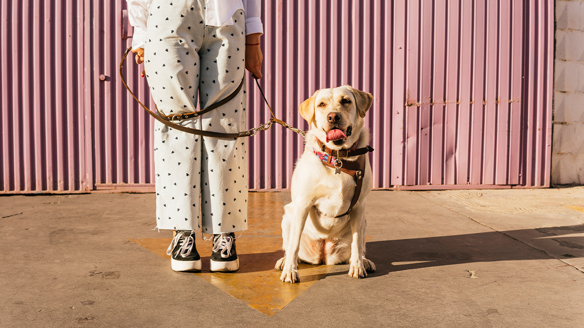 同事扯我後腿，老闆袖手旁觀怎麼辦？